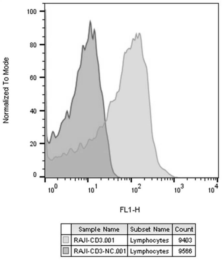 RGA method for detecting biological activity of anti-CTLA-4 monoclonal antibody and application of RGA method