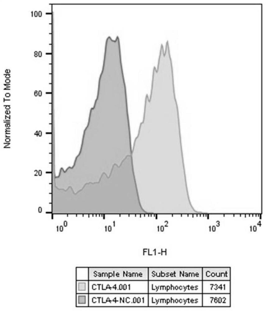 RGA method for detecting biological activity of anti-CTLA-4 monoclonal antibody and application of RGA method