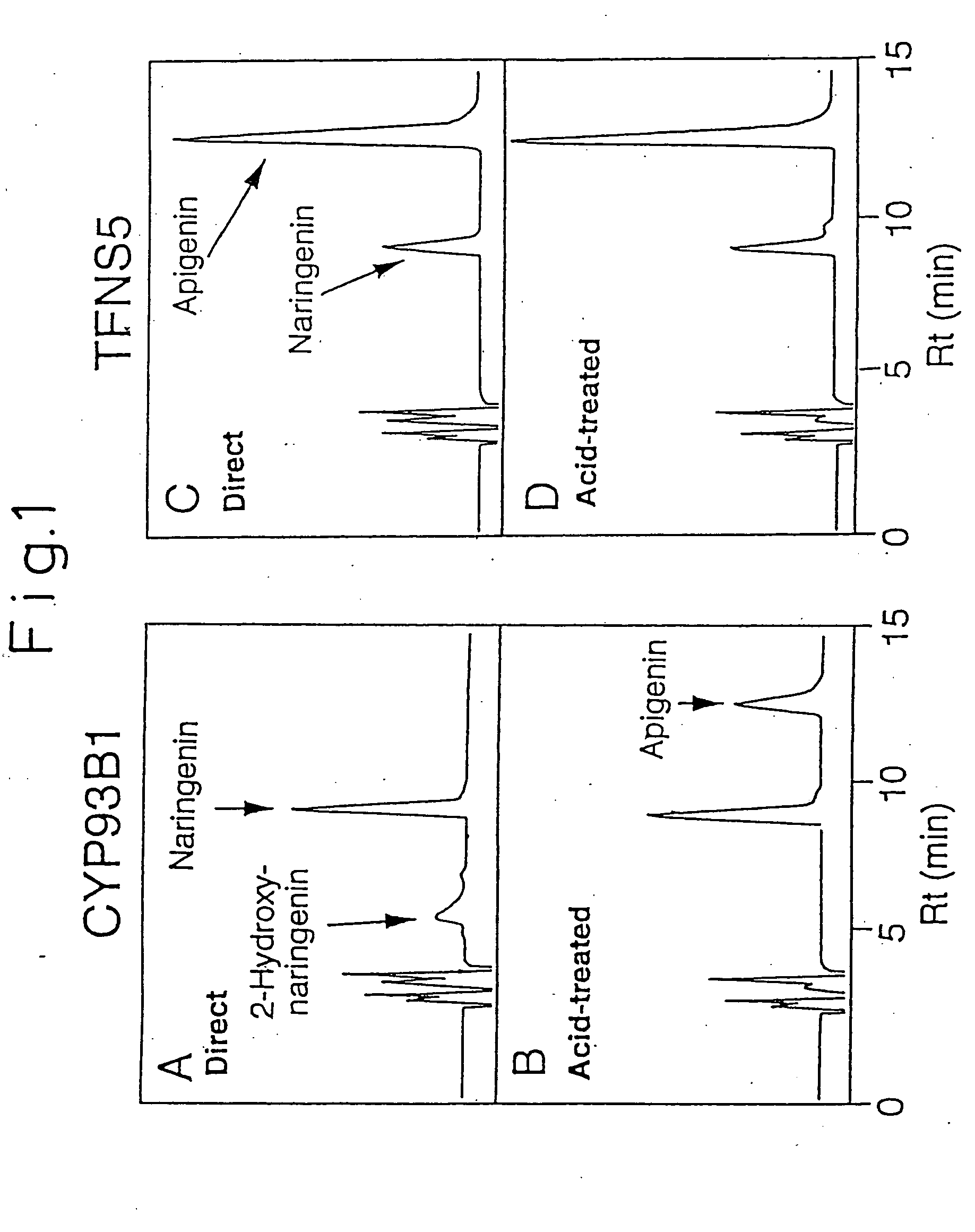 DNAs coding for flavone synthases, methods of using flavone synthase DNAs, and plants, flowers, and vectors containing flavone synthase DNAs