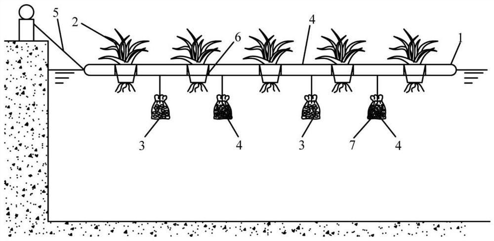 Method based on phosphorus removal and algae removal ecological floating bed and device thereof