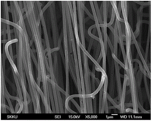 Preparation method of zinc oxide nanowire array/carbon nanofiber composite material