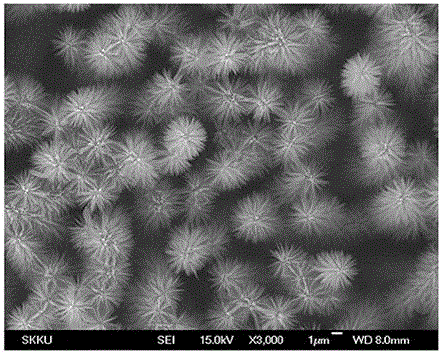 Preparation method of zinc oxide nanowire array/carbon nanofiber composite material
