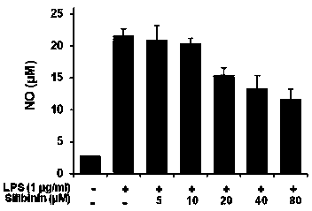 Composition and its use in preparation of anti-inflammatory drug