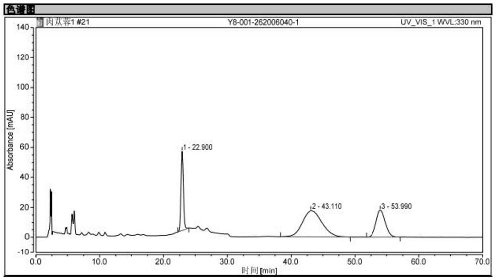 Cistanche pill production process, product and quality control method thereof