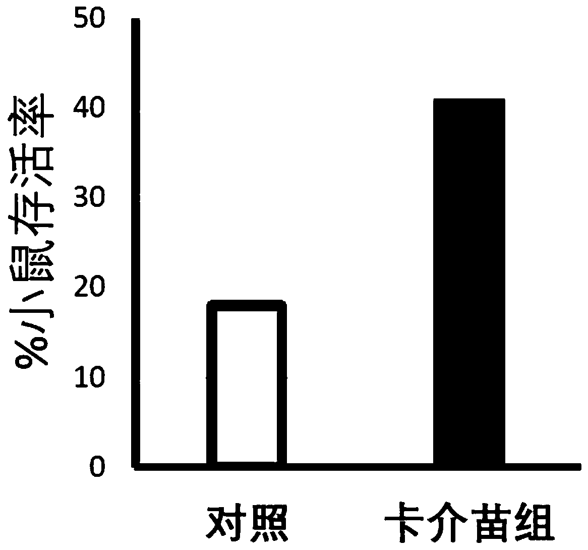 Use of inactivated BCG vaccine in prevention or treatment of novel coronavirus-related conditions