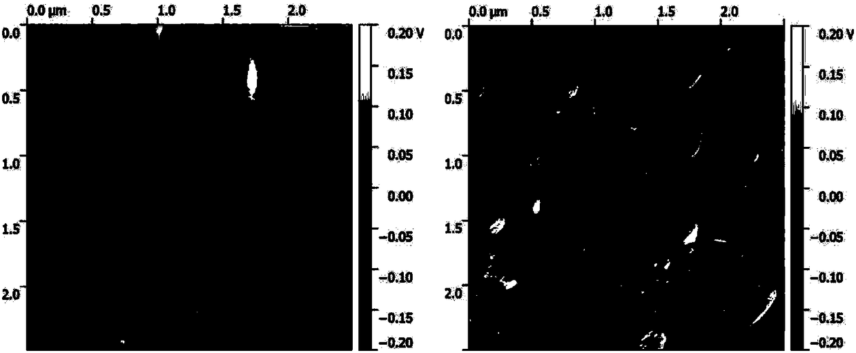 A kind of passivation treatment method of antimony selenide thin film solar cell back surface