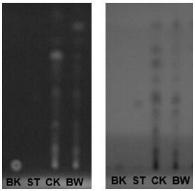 A kind of sclerosophore and its application of promoting agarwood to produce agarwood