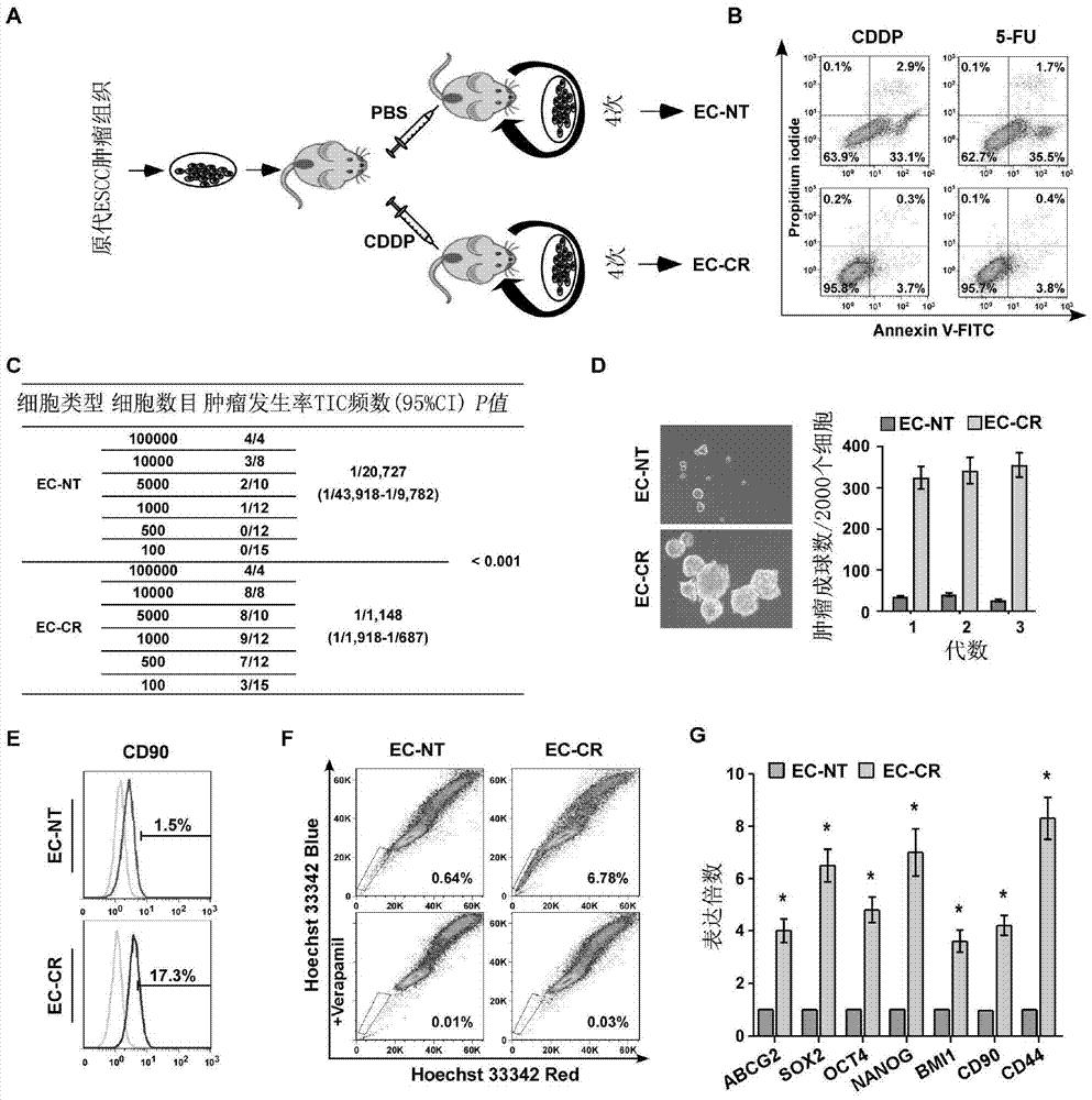 Application of mir‑455‑3p in the diagnosis, treatment and prognosis of esophageal squamous cell carcinoma