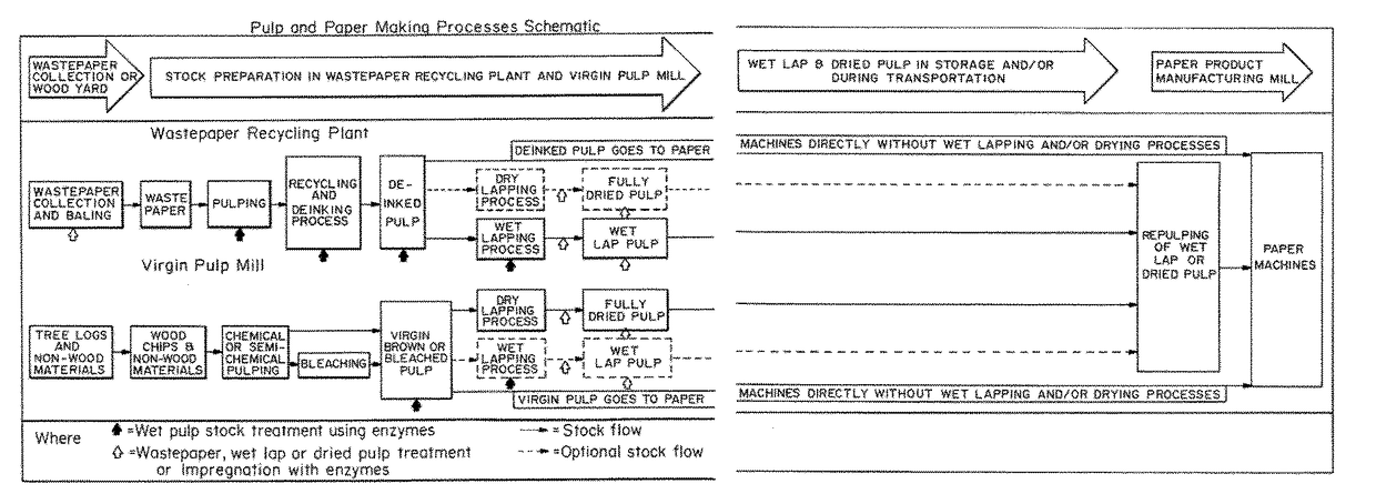 Enzymatic pre-treatment of market pulp to improve fiber drainage and physical properties