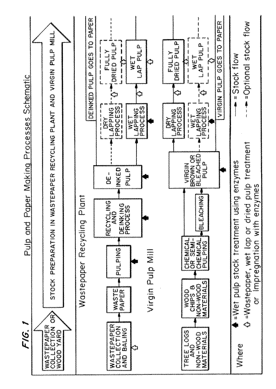 Enzymatic pre-treatment of market pulp to improve fiber drainage and physical properties