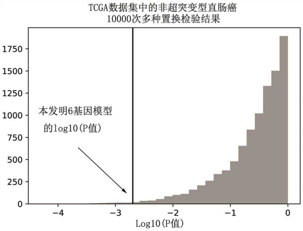 A set of genes for molecular typing of non-hypermutated rectal cancer and their applications