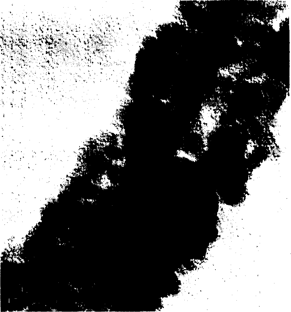 Method of depositing high density loading metal platinum on carbon nanometer pipe surface using oriented chemistry