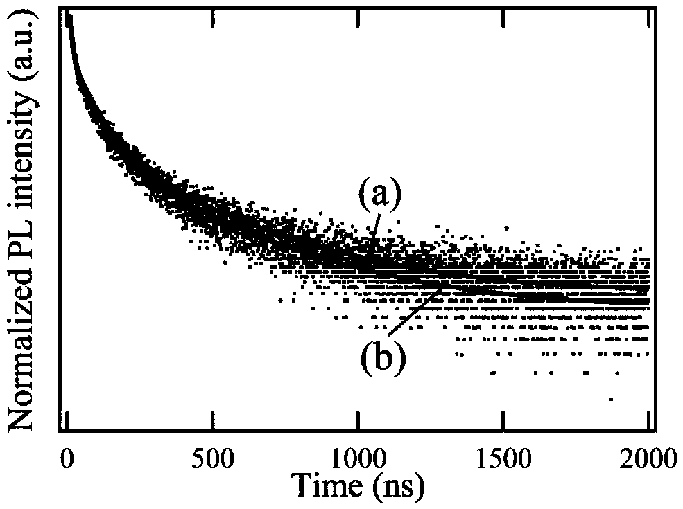 A kind of translucent organic metal halide perovskite thin film solar cell and its preparation method