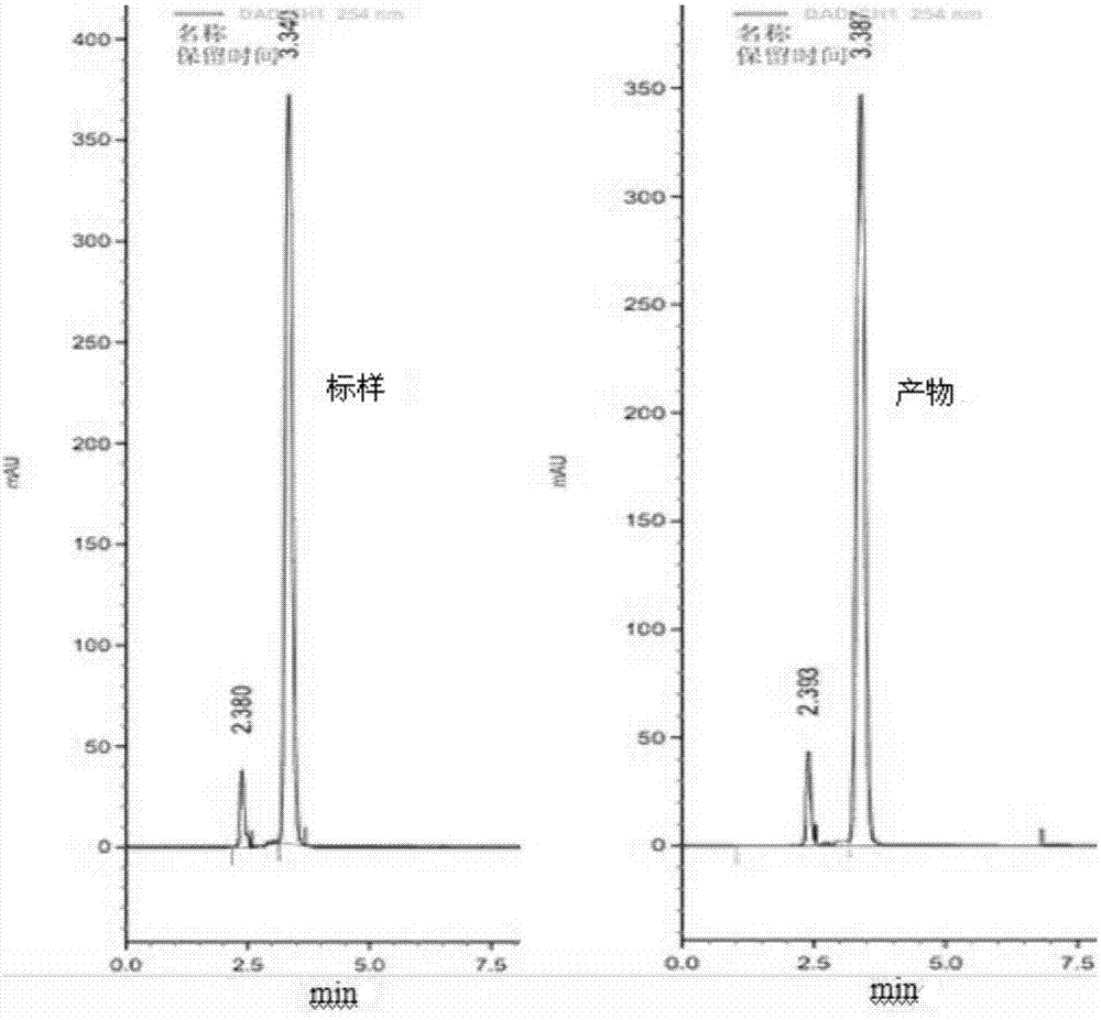 Methylotrophic bacteria and method for producing pyrroloquinoline quinine (PQQ) by fermentation thereof
