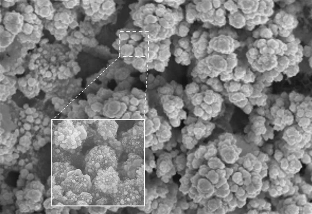 Impurity gas adsorbent as well as preparation method and application thereof