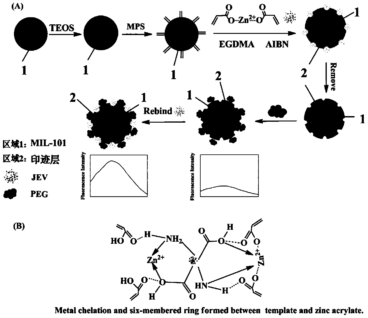 Preparation and application of novel virus molecule imprinted fluorescent sensor