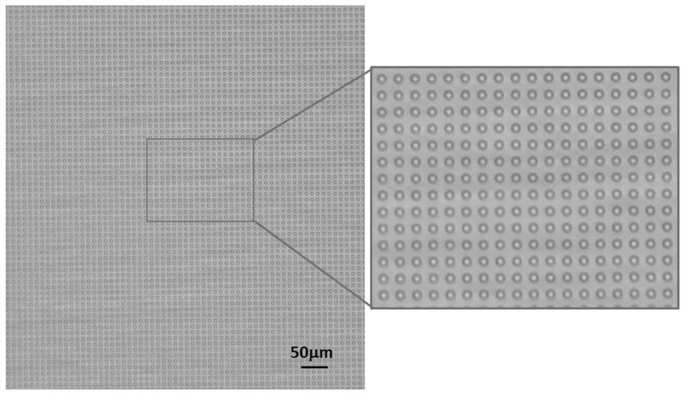 Ultrahigh-sensitivity protease digital detection method