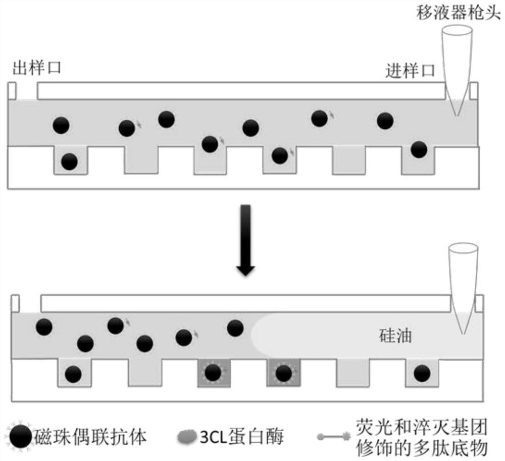 Ultrahigh-sensitivity protease digital detection method