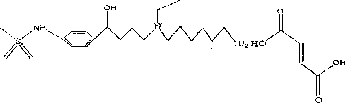 Ibutilide fumarate injection and preparation method thereof