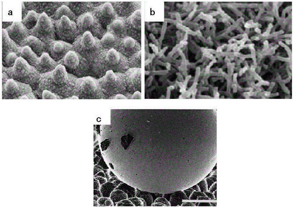 Polystyrene abrasion-resistant integrated ultra-hydrophobic coating and preparation method thereof
