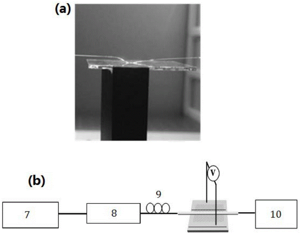 Micro-nanofiber structure based wide-spectrum graphene photoconductive detector