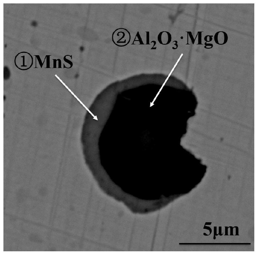 Magnesium Addition Technology for Free Cutting Steel Containing Magnesium