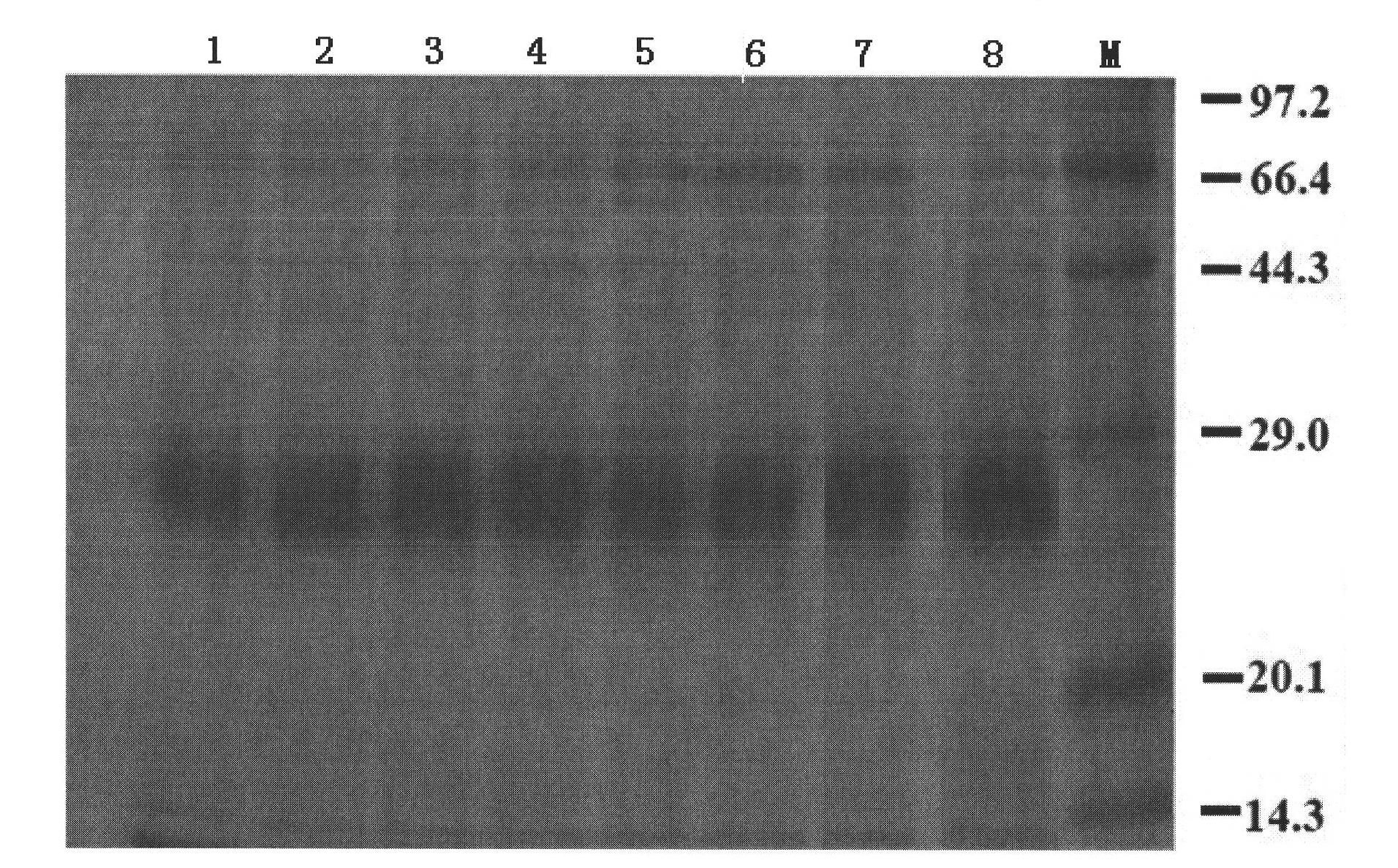 Method for purifying and preparing allergen vaccine