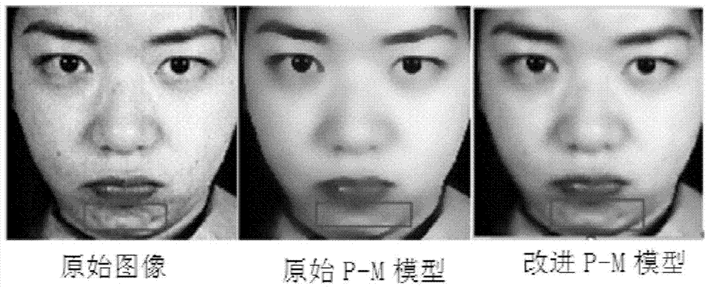 A Noise Robust Facial Expression Recognition Method