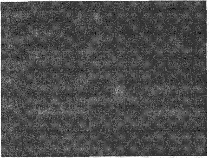 Quantifying method for intense light source to interfere imaging features of glimmer system