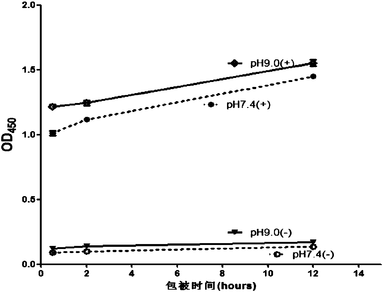 ELISA method for detecting titer of cLHRH antibody in chicken serum