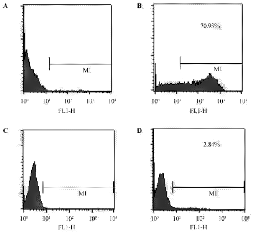 Specific marker Glut3 (Glucose Transporter 3) of embryonic stem cells and application thereof