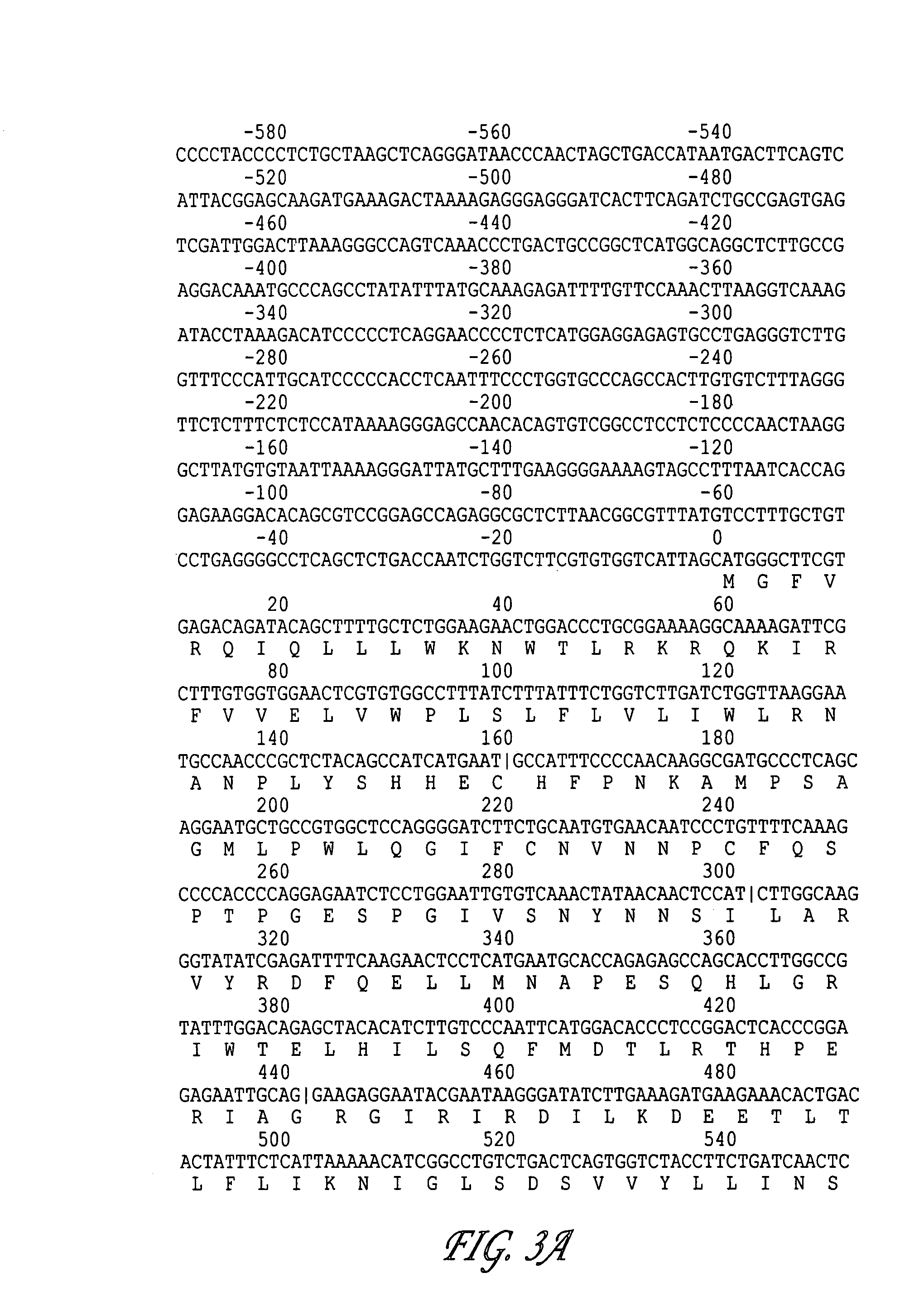 Nucleic acid and amino acid sequences for ATP-binding cassette transporter and methods of screening for agents that modify ATP-binding cassette transporter