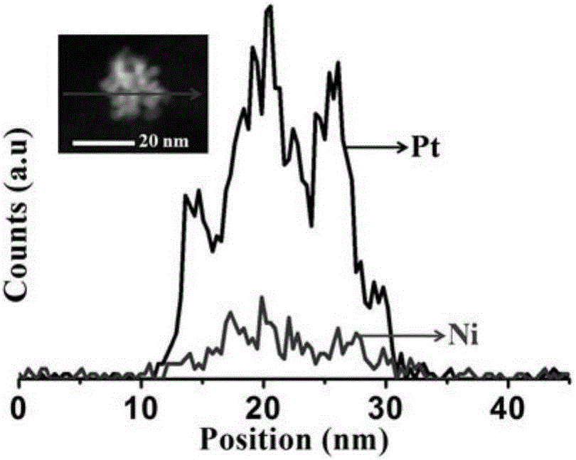 PtNi nano-alloy electrochemical sensor for detecting dopamine