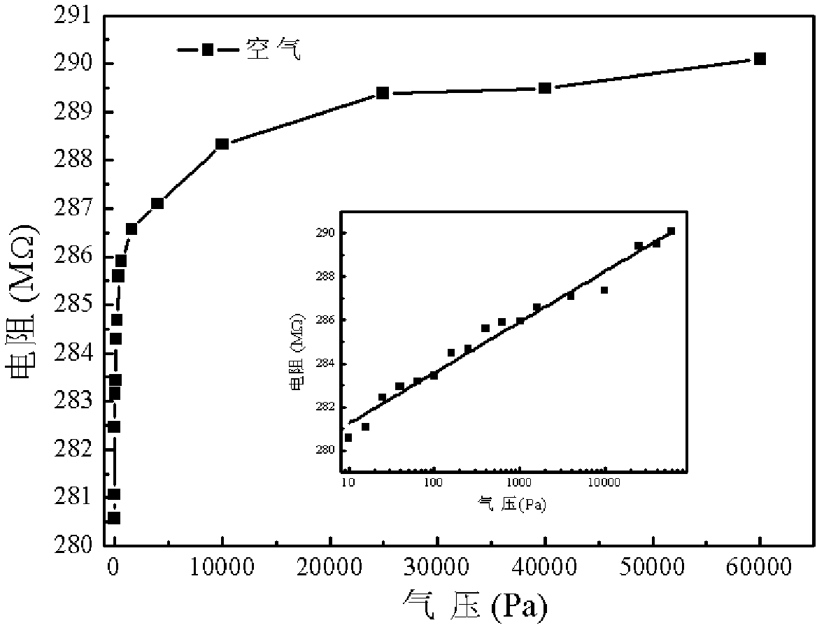 Pirani vacuum gauge of carbon nanotube and vacuum degree detection method thereof