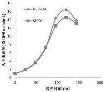 Serum-free medium used for suspension culture of insect cells, and application thereof