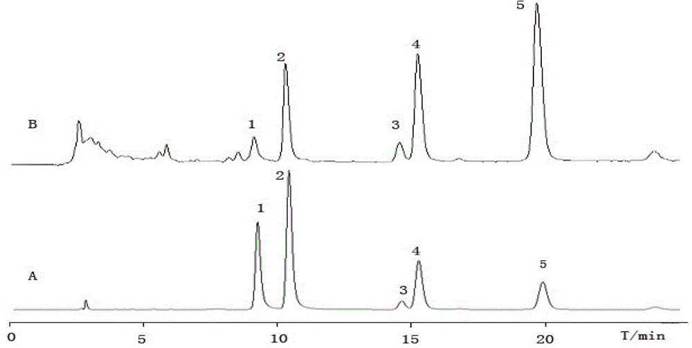 Method for extraction of total flavonoid aglycones from hickory leaves