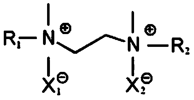 Ionic liquid catalyst for C5/C6 alkane isomerization and preparation and using method of catalyst