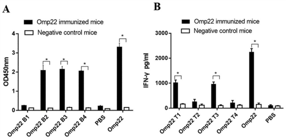 Acinetobacter baumannii omp22 recombinant multi-antigen epitope polypeptide and its application