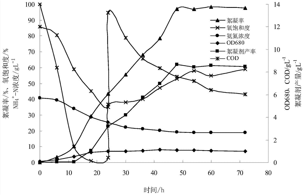 Method for producing flocculant by culturing a strain of bacillus and composite wastewater