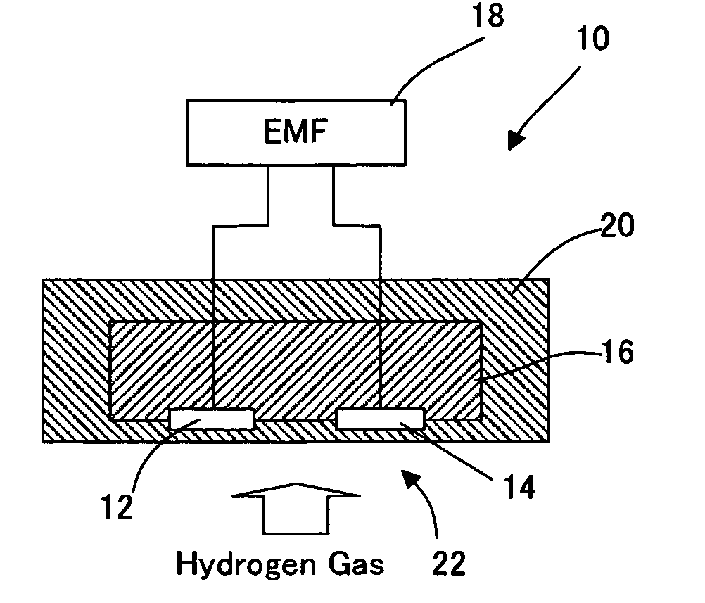 Hydrogen Gas Sensor