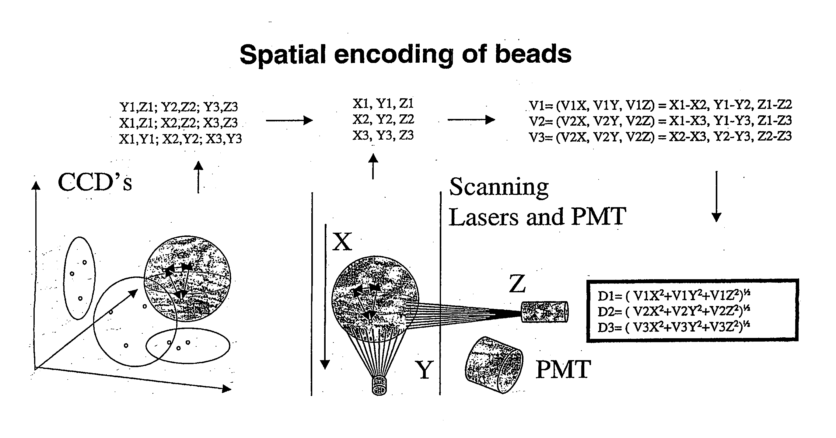 Spatially encoded polymer matrix