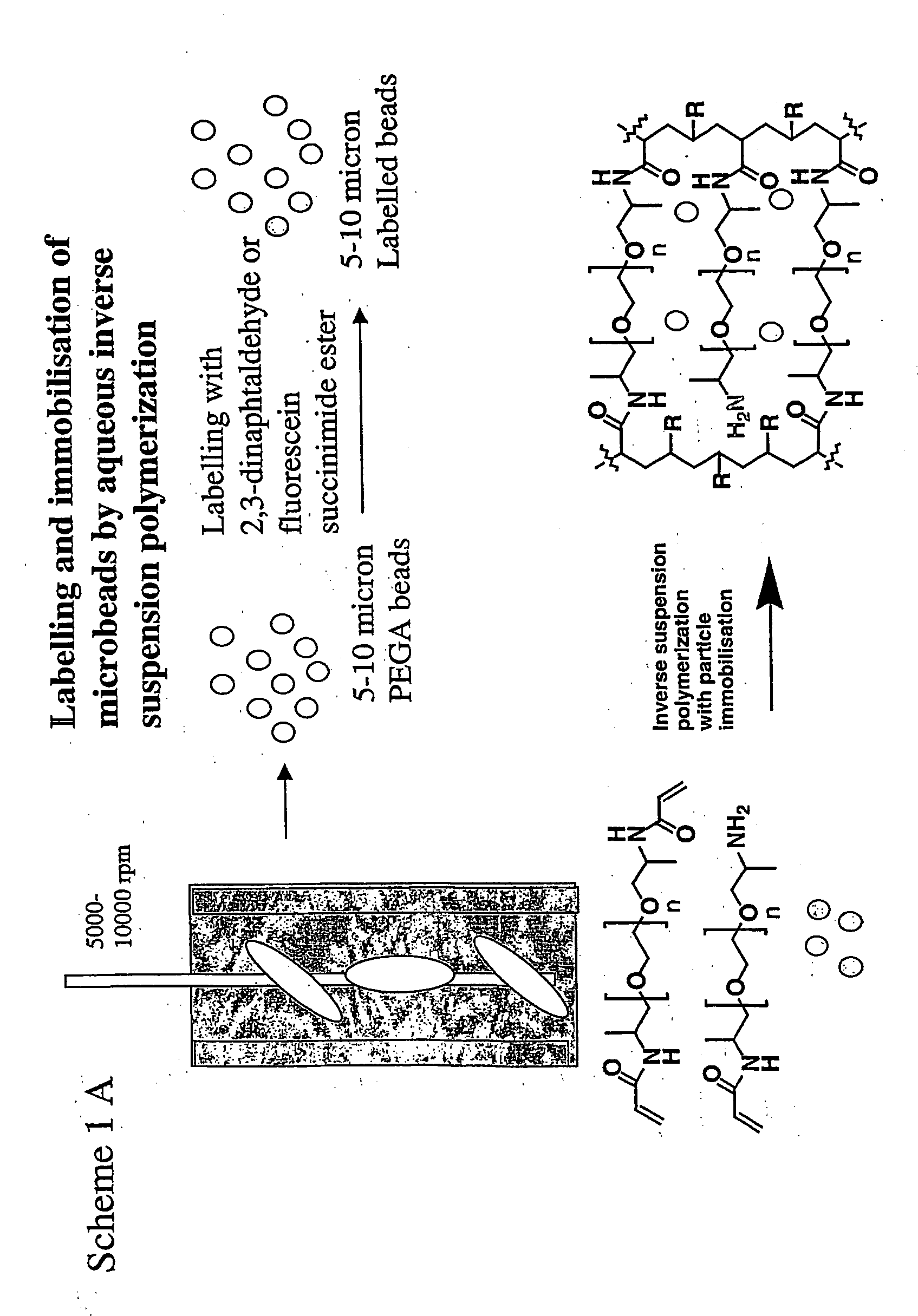 Spatially encoded polymer matrix