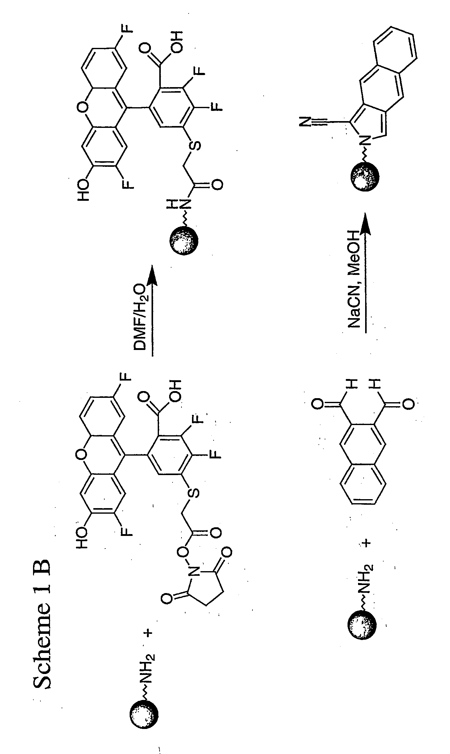 Spatially encoded polymer matrix