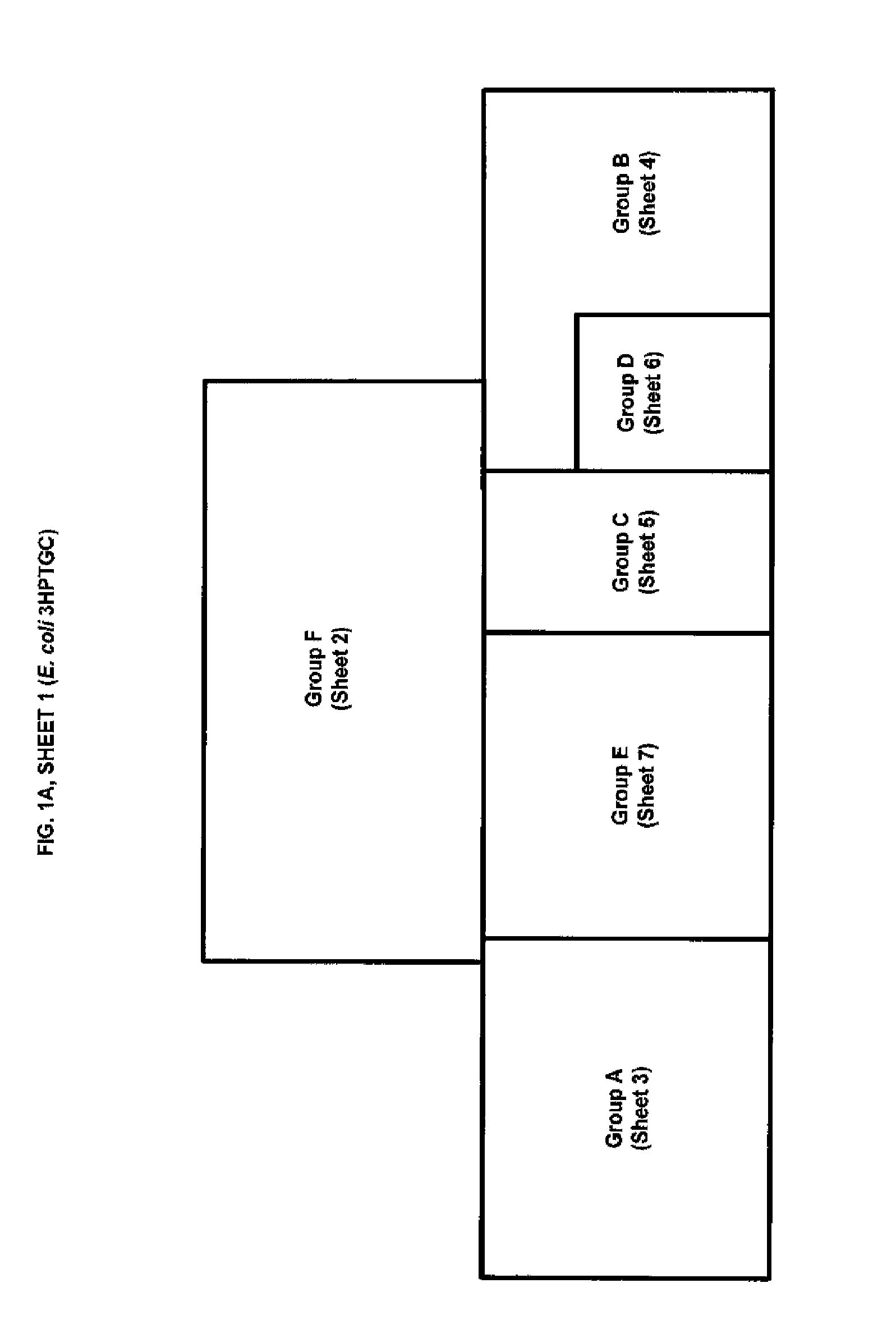 Methods, Systems and Compositions for Increased Microorganism Tolerance to and Production of 3-Hydroxypropionic Acid (3-HP)