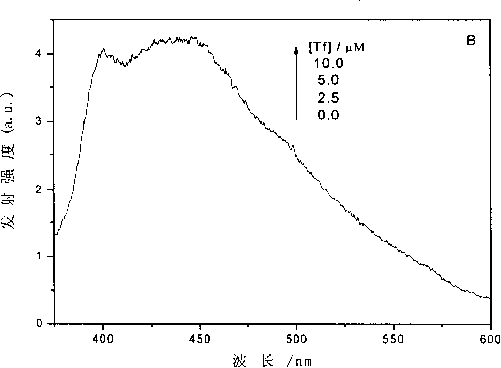 Mixture solution containing conjugate of transferrin and quercetin and use thereof