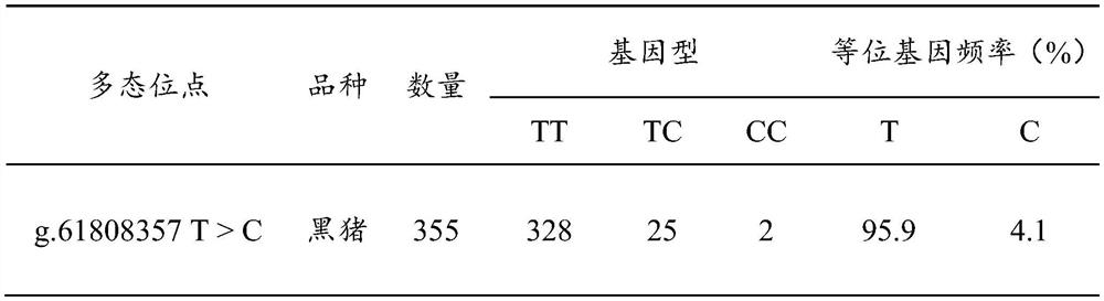 Application of a pig SNP molecular marker in the screening of pig reproductive traits and pig breeding