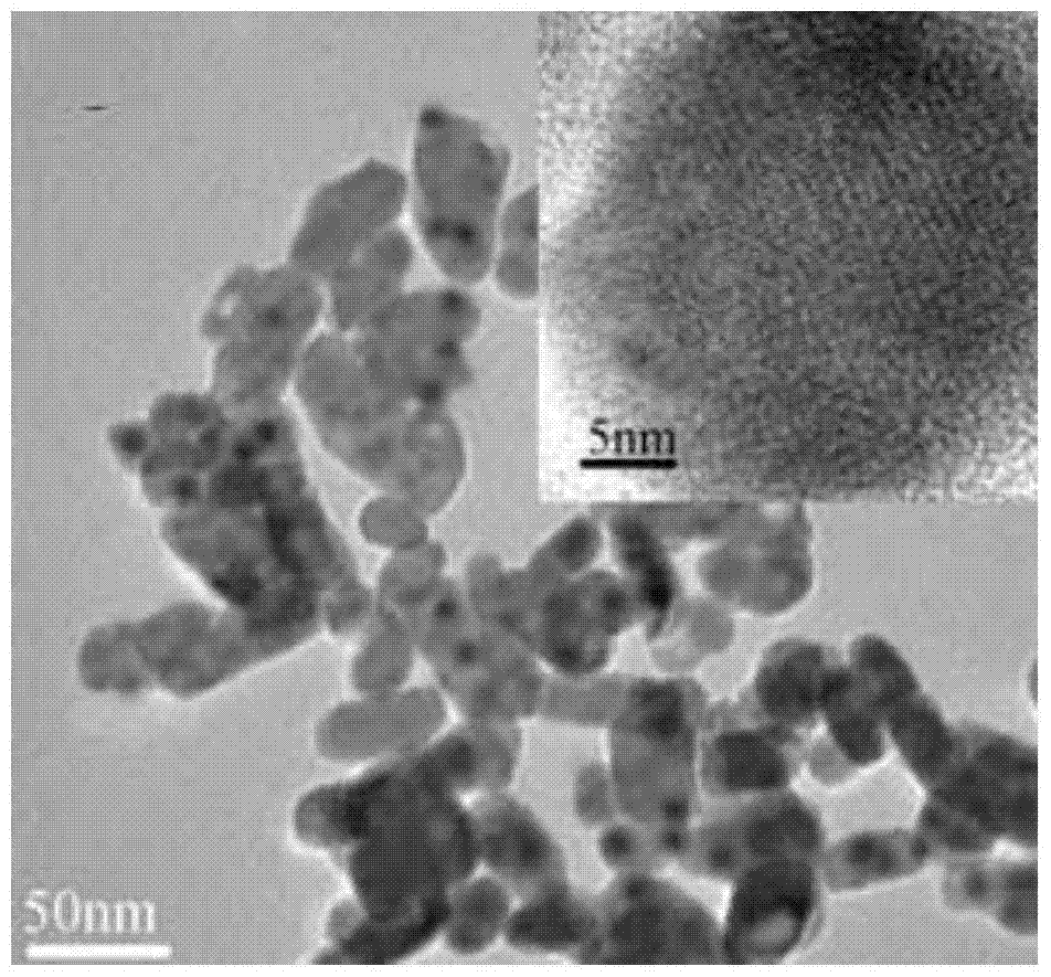 Preparation method of a mesoporous apatite nano drug carrier with reduction responsiveness and cell targeting to liver cancer cells