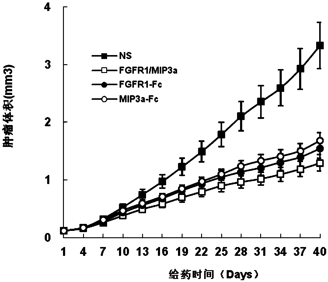 Application of FGFR1-MIP3 Alpha/Fc fusion protein in preparation of targeted anti-breast cancer drugs