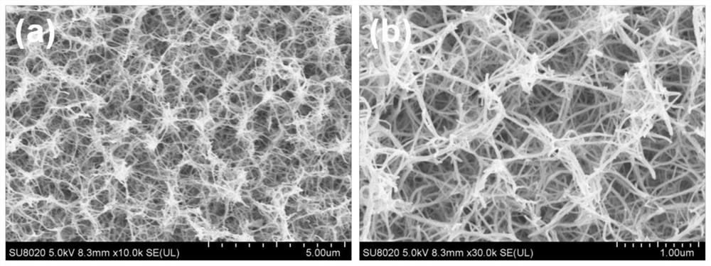 An oxygen-deficient tungsten oxide/polypyrrole core-shell nanowire array electrochromic film and its preparation method