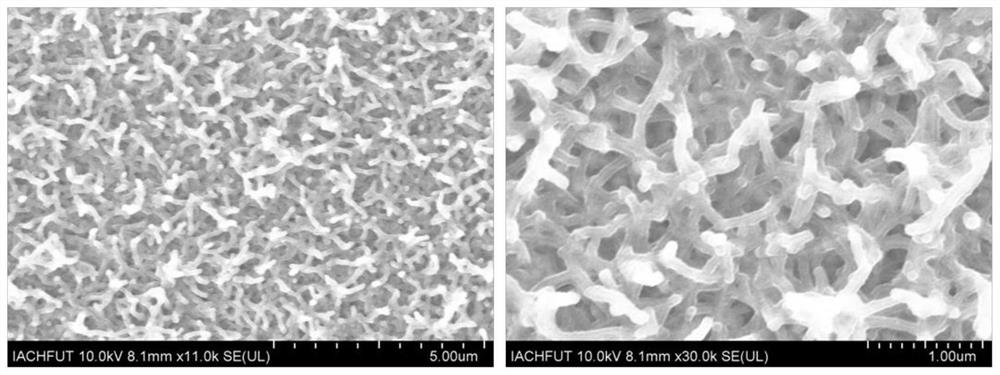 An oxygen-deficient tungsten oxide/polypyrrole core-shell nanowire array electrochromic film and its preparation method